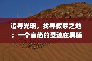 追寻光明，找寻救赎之地：一个高尚的灵魂在黑暗世界的无尽旅程