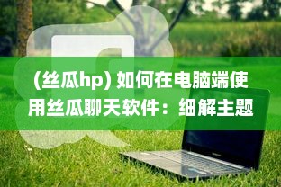 (丝瓜hp) 如何在电脑端使用丝瓜聊天软件：细解主题设置步骤及技巧