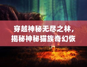 穿越神秘无尽之林，揭秘神秘猫族奇幻恢宽宴，灵猫传 的奇幻冒险与深度剖析