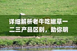 详细解析老牛吃嫩草一二三产品区别，助你明智选择适合自己的护肤品