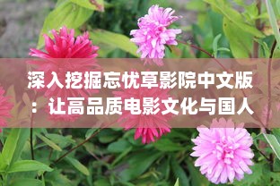 深入挖掘忘忧草影院中文版：让高品质电影文化与国人心灵深处的情感触动相融合 v1.5.5下载