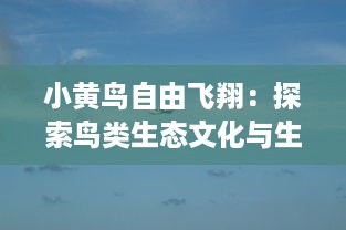 小黄鸟自由飞翔：探索鸟类生态文化与生活乐趣的品质生活之旅 v0.5.4下载