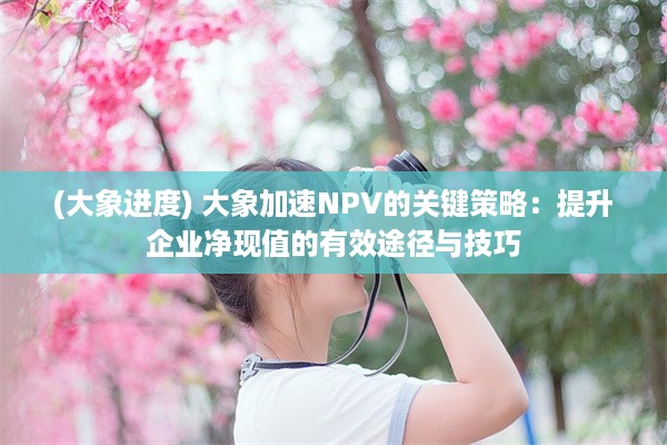 (大象进度) 大象加速NPV的关键策略：提升企业净现值的有效途径与技巧