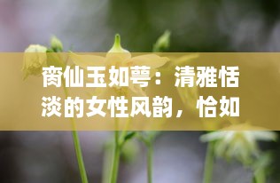 脔仙玉如萼：清雅恬淡的女性风韵，恰如白玉新莹萼初破的花瓣 v0.4.2下载