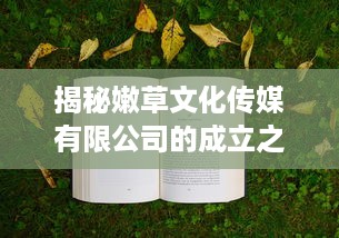 揭秘嫩草文化传媒有限公司的成立之路：时间、历程与未来发展展望 v0.0.5下载