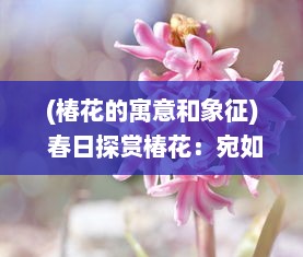 (椿花的寓意和象征) 春日探赏椿花：宛如红烛点点，描绘出生命的讴歌与繁华盛景