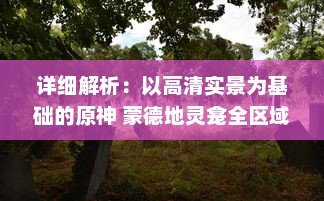 详细解析：以高清实景为基础的原神 蒙德地灵龛全区域分布位置导览图