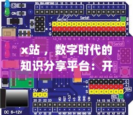 x站 ，数字时代的知识分享平台：开放、互动与创新的网络学习空间探索