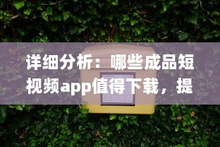 详细分析：哪些成品短视频app值得下载，提供精彩娱乐体验及生活记录功能