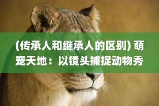 (传承人和继承人的区别) 萌宠天地：以镜头捕捉动物秀丽之色彩，探索未知的自然奇观