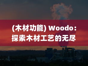 (木材功能) Woodo：探索木材工艺的无尽可能性与对环保可持续发展的独特贡献