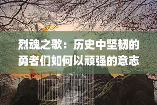 烈魂之歌：历史中坚韧的勇者们如何以顽强的意志燃烧生命的辉煌