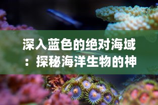 深入蓝色的绝对海域：探秘海洋生物的神秘生存战与不为人知的海底秘密