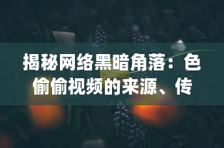 揭秘网络黑暗角落：色偷偷视频的来源、传播及其对社会道德伦理的冲击 v6.3.7下载