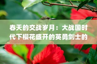 春天的交战岁月：大战国时代下樱花盛开的英勇剑士的胆志与刀的传奇故事