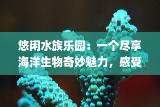 悠闲水族乐园：一个尽享海洋生物奇妙魅力，感受寓教于乐的全新休闲旅游去处