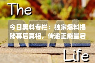 今日黑料专栏：独家爆料揭秘幕后真相，传递正能量启示生活智慧