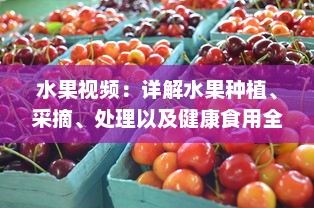 水果视频：详解水果种植、采摘、处理以及健康食用全过程的专业指导 v7.4.3下载