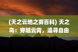 (天之云地之雾百科) 天之鸟：穿越云霄，追寻自由与翱翔的奇妙旅程