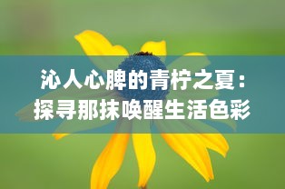 沁人心脾的青柠之夏：探寻那抹唤醒生活色彩的独特清新魅力 v4.5.8下载