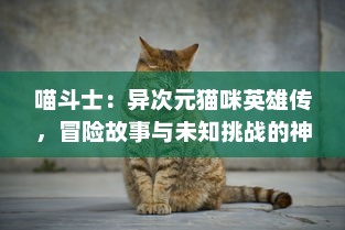 喵斗士：异次元猫咪英雄传，冒险故事与未知挑战的神秘奇遇之旅