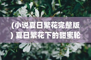 (小说夏日繁花完整版) 夏日繁花下的甜蜜轮廓：一段跨越四季的Summer爱情故事