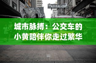 城市脉搏：公交车的小黄陪伴你走过繁华与落寂的100个故事集锦 v9.7.3下载