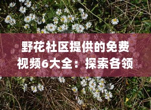 野花社区提供的免费视频6大全：探索各领域精彩内容，满足各类型观看需求 v3.7.2下载