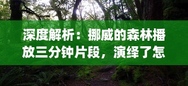 深度解析：挪威的森林播放三分钟片段，演绎了怎样的人性与情感世界