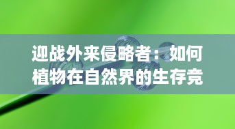 迎战外来侵略者：如何植物在自然界的生存竞争中展开独特的保卫战