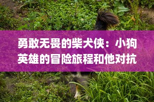 勇敢无畏的柴犬侠：小狗英雄的冒险旅程和他对抗邪恶势力的壮丽传说