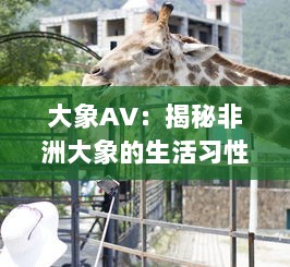 大象AV：揭秘非洲大象的生活习性和动态，展示野性世界的精彩画面 v0.0.5下载