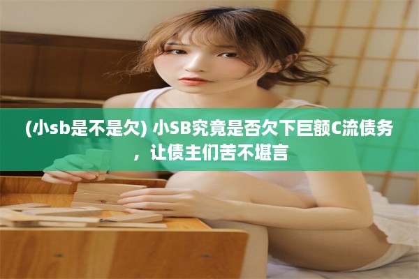 (小sb是不是欠) 小SB究竟是否欠下巨额C流债务，让债主们苦不堪言