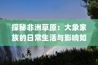 探秘非洲草原：大象家族的日常生活与影响如何塑造环境和生态平衡 详解视频中的关键观察点。 v3.0.9下载