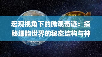 宏观视角下的微观奇迹：探秘细胞世界的秘密结构与神奇生命力量