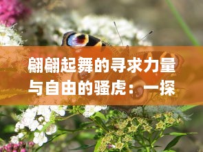 翩翩起舞的寻求力量与自由的骚虎：一探虎类动物的魅力、生态及其保护现状