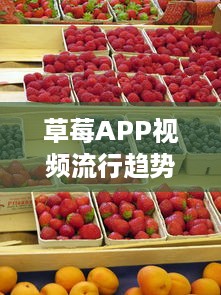 草莓APP视频流行趋势分析：解锁2021年最新视频风格及用户喜好深度解析 v3.5.5下载