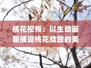 桃花视频：以生动画面捕捉桃花绽放的美丽与韵味，为您带来视觉与感觉的双重享受 v4.6.7下载