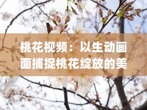 桃花视频：以生动画面捕捉桃花绽放的美丽与韵味，为您带来视觉与感觉的双重享受