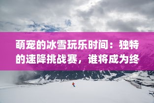 萌宠的冰雪玩乐时间：独特的速降挑战赛，谁将成为终极滑雪冠军？