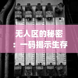 无人区的秘密：一码揭示生存法则，二码探究自然奥秘，三码诠释历史沉浸，四码区体验科技未来