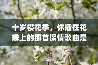 十岁樱花季，你插在花瓣上的那首深情歌曲是什么：一段青春记忆的音符流转 v8.0.3下载