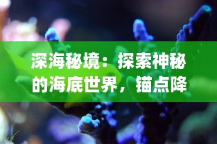 深海秘境：探索神秘的海底世界，锚点降临带你体验深海科学的奇妙旅程