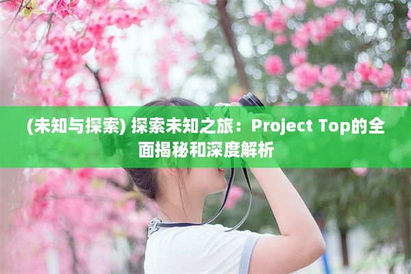 (未知与探索) 探索未知之旅：Project Top的全面揭秘和深度解析