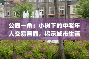 公园一角：小树下的中老年人交易画面，揭示城市生活中不为人知的一面图片集展示