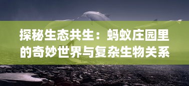 探秘生态共生：蚂蚁庄园里的奇妙世界与复杂生物关系