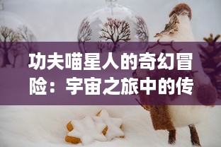 功夫喵星人的奇幻冒险：宇宙之旅中的传奇英勇与搞笑猫科外星人