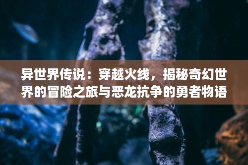 异世界传说：穿越火线，揭秘奇幻世界的冒险之旅与恶龙抗争的勇者物语