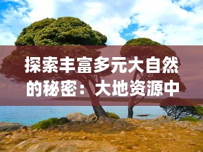 探索丰富多元大自然的秘密：大地资源中文纪录片二页免费在线观看全集