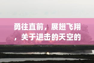 勇往直前，展翅飞翔，关于进击的天空的无限可能与挑战的探索与实践